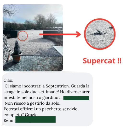 Trappola SUPERCAT: è davvero l’opzione migliore? QuickTaupe ti risponde!