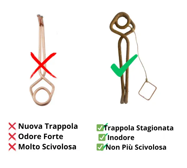 Trappola per Talpe: Ecco i 3 Migliori Modelli che Funzionano Davvero!