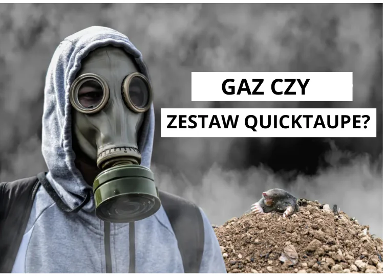 Gaz na krety: Czy można zagazować krety, żeby się ich pozbyć?