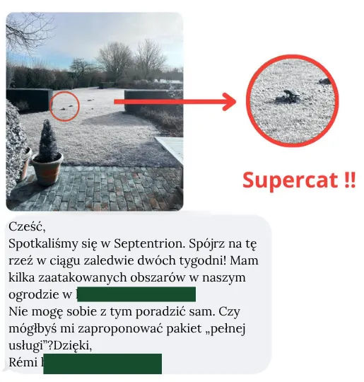 Pułapka SUPERCAT: Czy to naprawdę najlepsza opcja? QuickTaupe odpowiada!