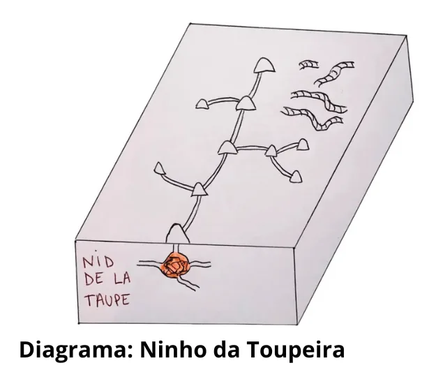 Esquema de Galeria das Toupeiras: Compreender, identificar e gerir as redes subterrâneas