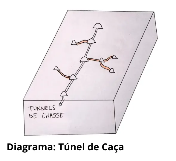 Esquema de Galeria das Toupeiras: Compreender, identificar e gerir as redes subterrâneas