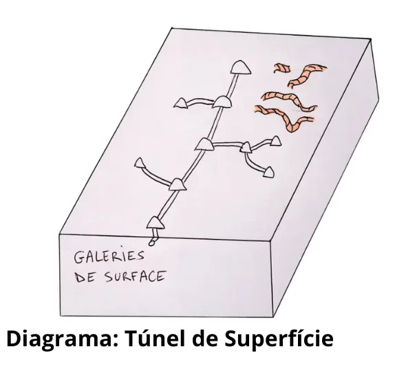 Esquema de Galeria das Toupeiras: Compreender, identificar e gerir as redes subterrâneas