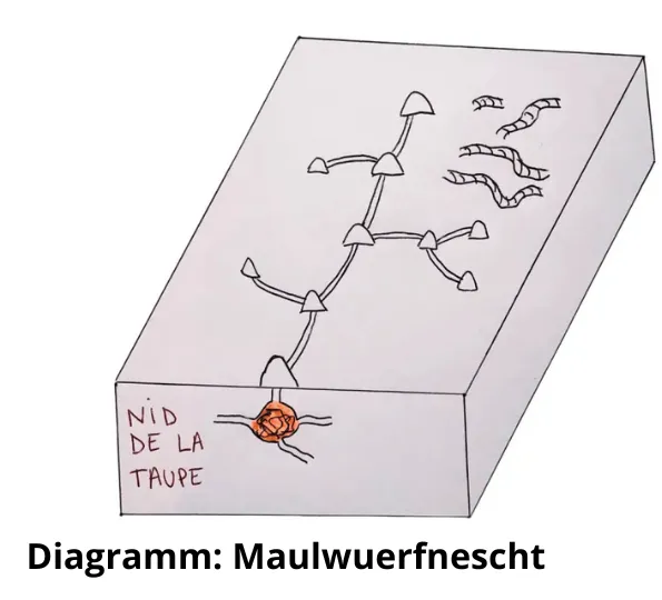 D’Gängeplang vun der Mull a Wullmaus: Verstoen, Erkennen a Managéiere vum ënnerierdesche Netzwierk