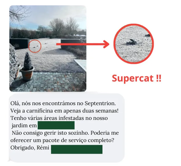 Armadilha SUPERCAT: Será mesmo a melhor opção? A QuickTaupe responde!
