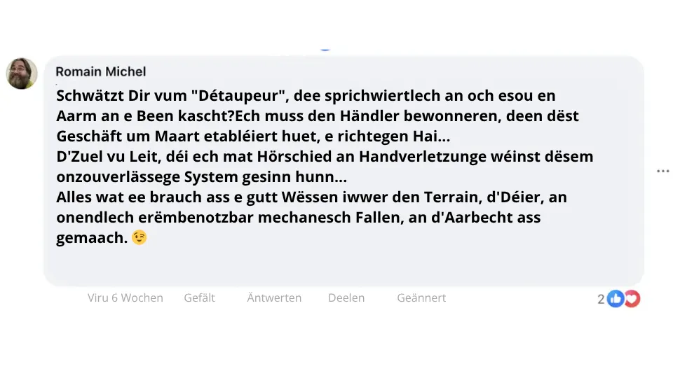 Wullmausfänker-Expert: Déi richteg Fal, fir mat de Wullmëis Schluss ze maachen?