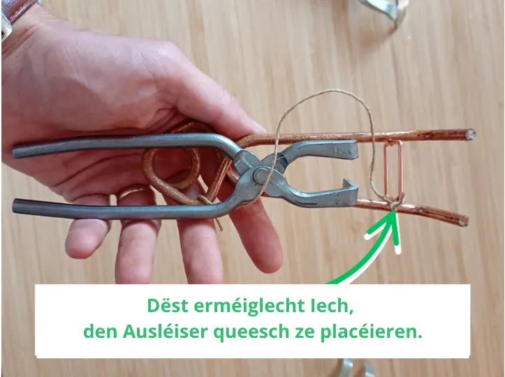 Wéi eng Fal Putange-Zang kafen? Verglach an d&rsquo;Meenung vum Expert