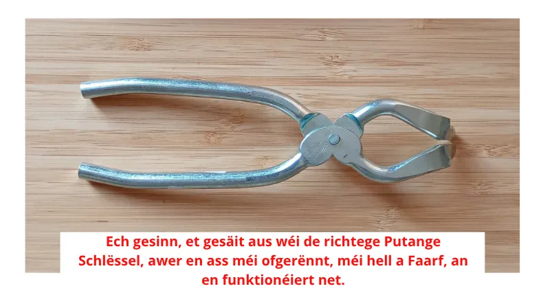 Wéi eng Fal Putange-Zang kafen? Verglach an d&rsquo;Meenung vum Expert