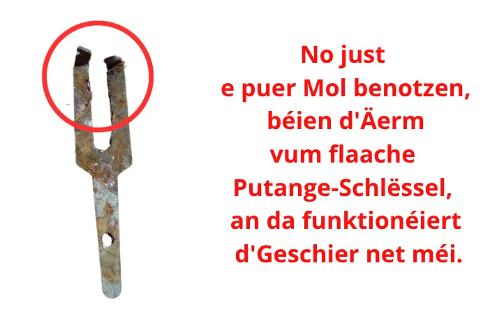 Wéi eng Fal Putange-Zang kafen? Verglach an d&rsquo;Meenung vum Expert