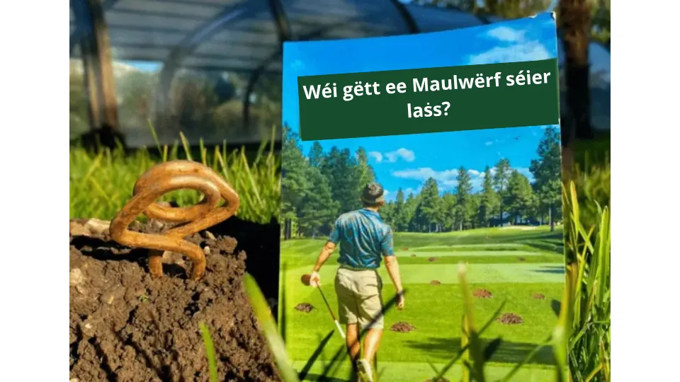 Wullmausfänker-Expert: Déi richteg Fal, fir mat de Wullmëis Schluss ze maachen?