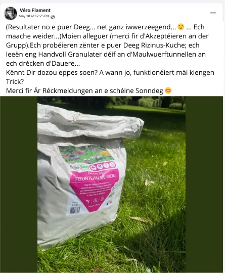 Groussmammes Rezepter fir Wullmaus lass ze ginn – Déi 6 Wullmaus-Mëttel!