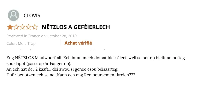 SUPERCAT Fal: Ass dat wierklech déi bescht Wiel? QuickTaupe äntwert dir!