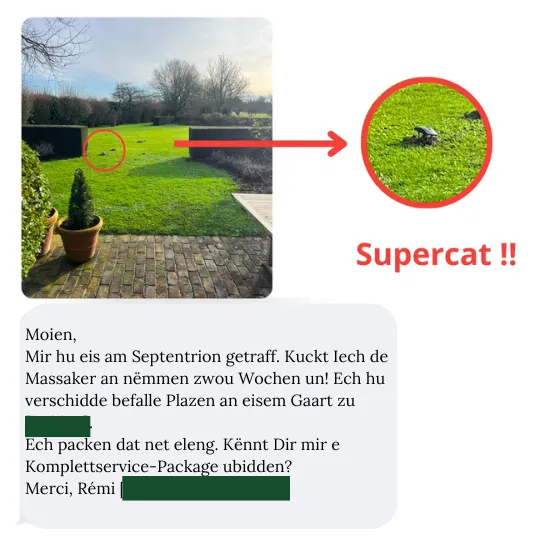 SUPERCAT Fal: Ass dat wierklech déi bescht Wiel? QuickTaupe äntwert dir!