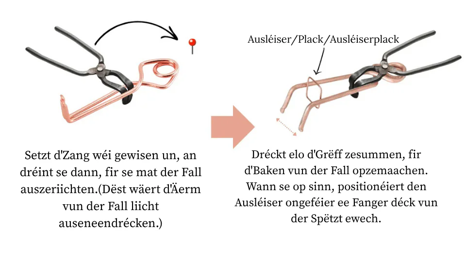 Wéi fänkt ee Wullmais? 5 einfach Schrëtt mat der Fal Putange