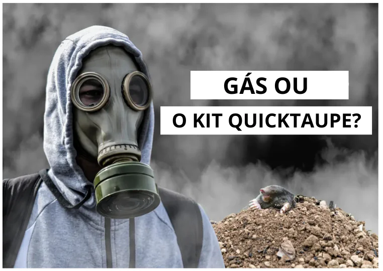 Gás Anti-Toupeira: É Possível Gasear as Toupeiras Para as Afugentar?