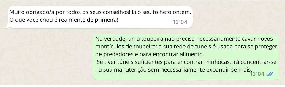 Gás Anti-Toupeira: É Possível Gasear as Toupeiras Para as Afugentar?